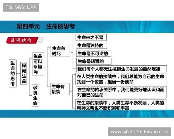 《探索武术格斗的深层技巧与精神内涵：从传统到现代的演变与应用》